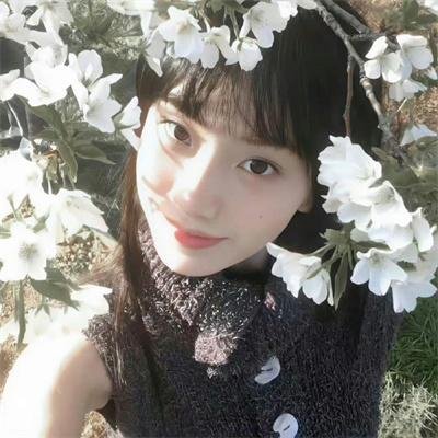 黑艳凤